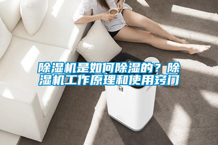 除濕機是如何除濕的？除濕機工作原理和使用竅門(mén)