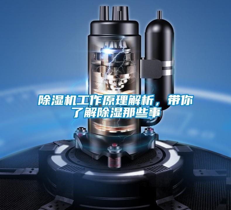 除濕機工作原理解析，帶你了解除濕那些事