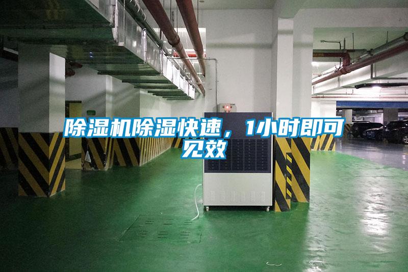 除濕機除濕快速，1小時(shí)即可見(jiàn)效