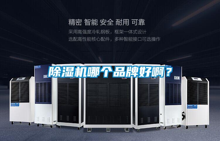 除濕機哪個(gè)品牌好??？