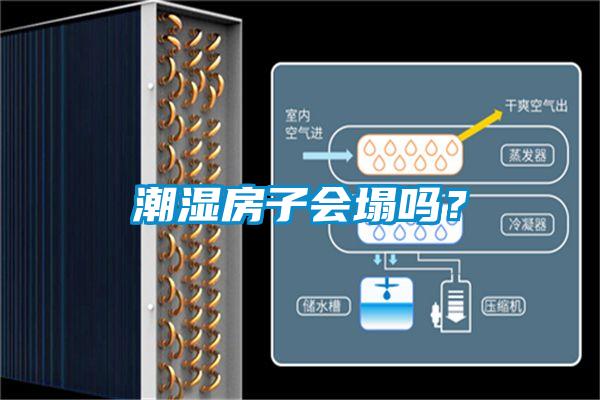 潮濕房子會(huì )塌嗎？