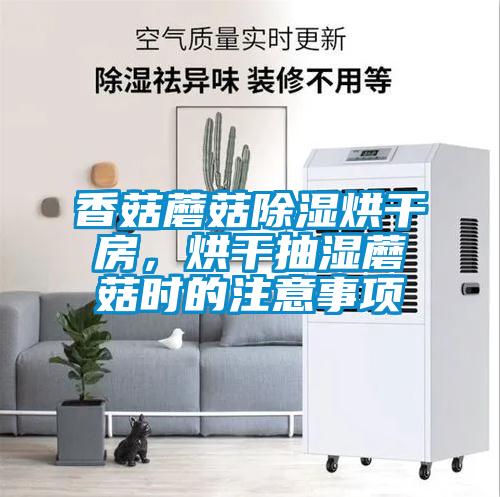 香菇蘑菇除濕烘干房，烘干抽濕蘑菇時(shí)的注意事項