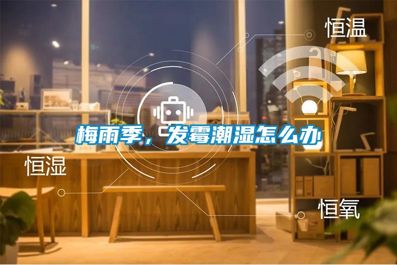 梅雨季，發(fā)霉潮濕怎么辦