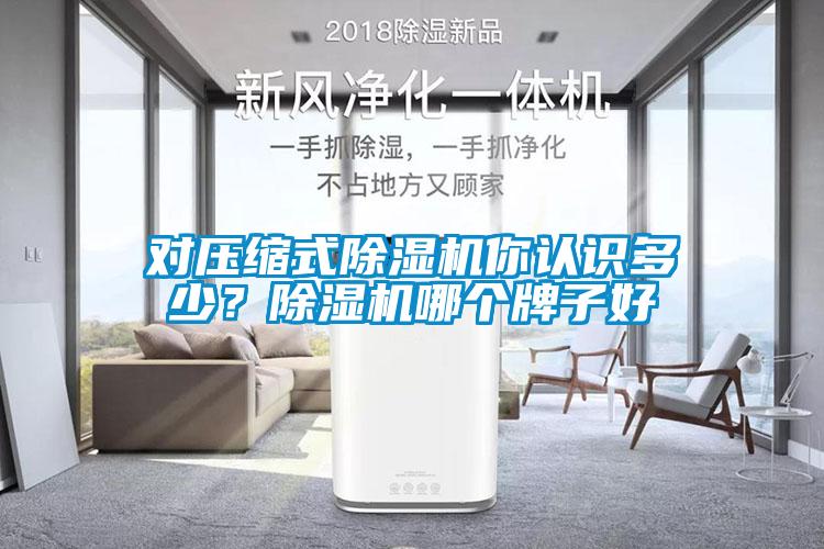 對壓縮式除濕機你認識多少？除濕機哪個(gè)牌子好