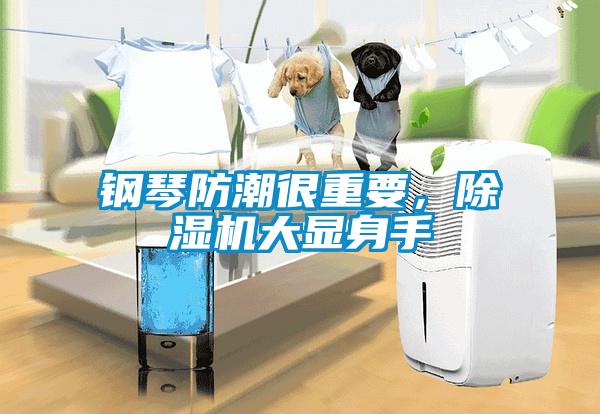 鋼琴防潮很重要，除濕機大顯身手