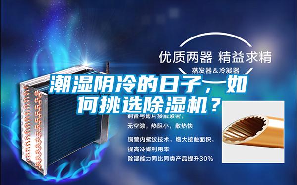 潮濕陰冷的日子，如何挑選除濕機？