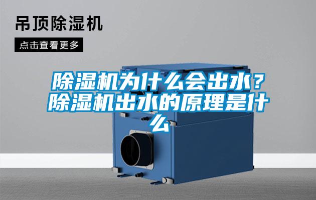 除濕機為什么會(huì )出水？除濕機出水的原理是什么