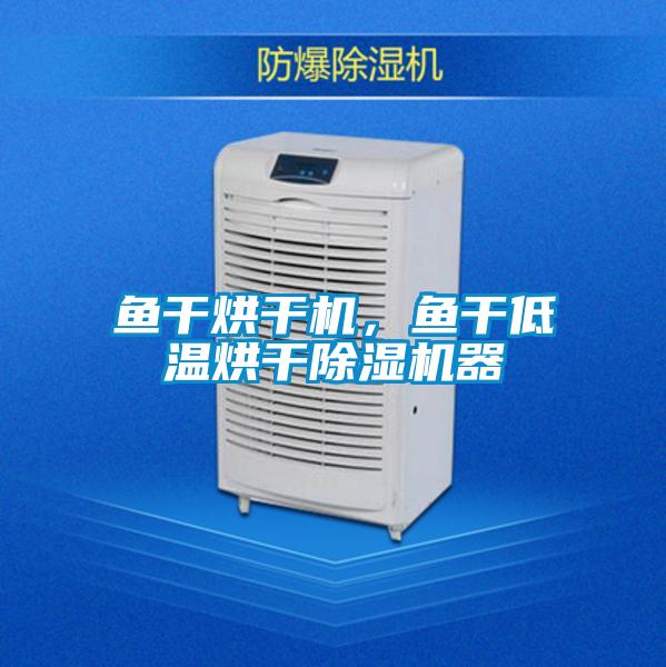 魚(yú)干烘干機，魚(yú)干低溫烘干除濕機器