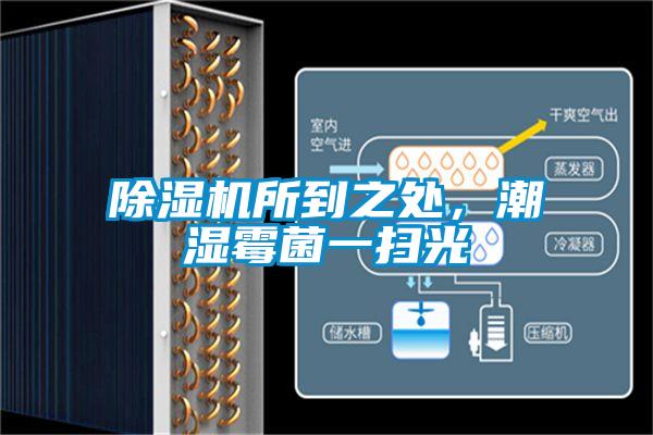 除濕機所到之處，潮濕霉菌一掃光
