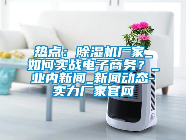 熱點(diǎn)：除濕機廠(chǎng)家_如何實(shí)戰電子商務(wù)？_業(yè)內新聞_新聞動(dòng)態(tài)-實(shí)力廠(chǎng)家官網(wǎng)