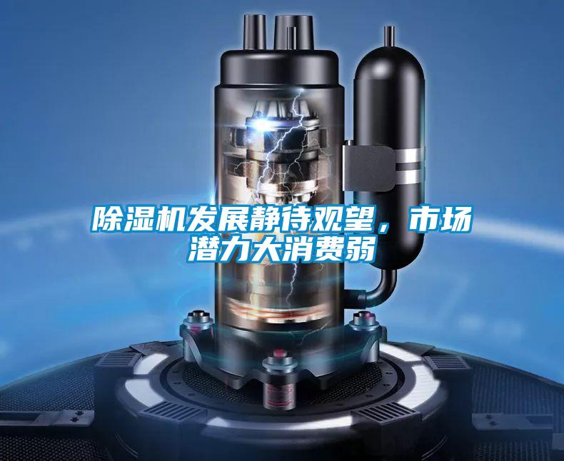除濕機發(fā)展靜待觀(guān)望，市場(chǎng)潛力大消費弱