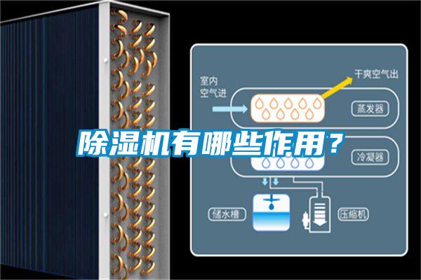 除濕機有哪些作用？