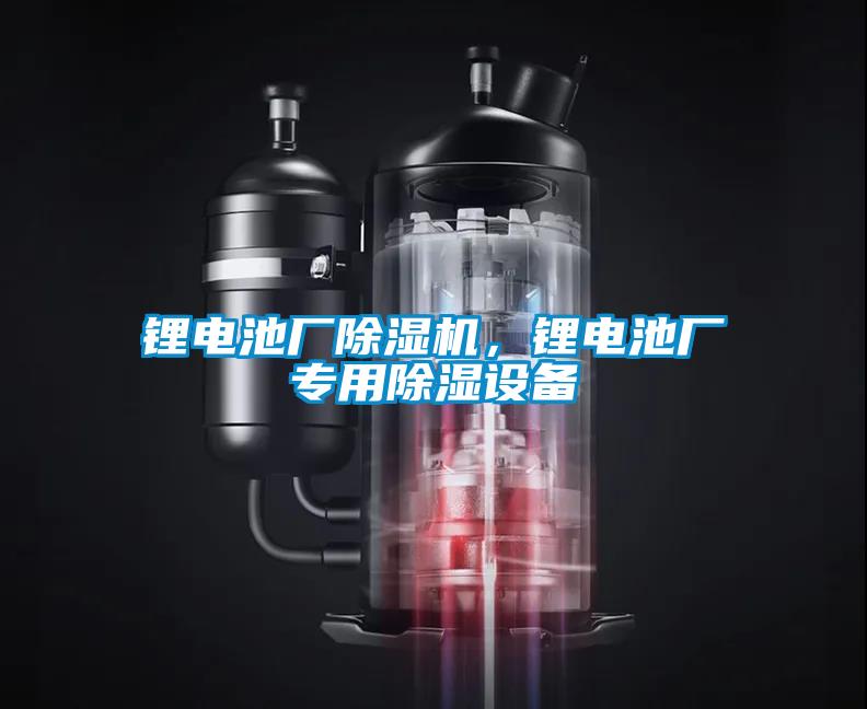 鋰電池廠(chǎng)除濕機，鋰電池廠(chǎng)專(zhuān)用除濕設備