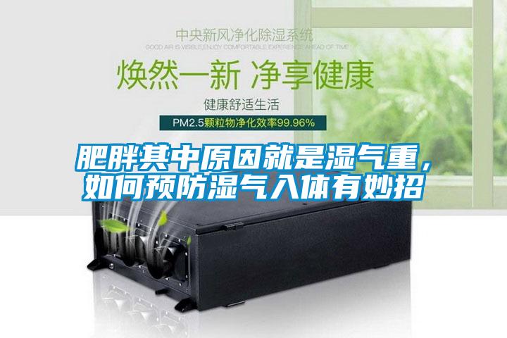 肥胖其中原因就是濕氣重，如何預防濕氣入體有妙招