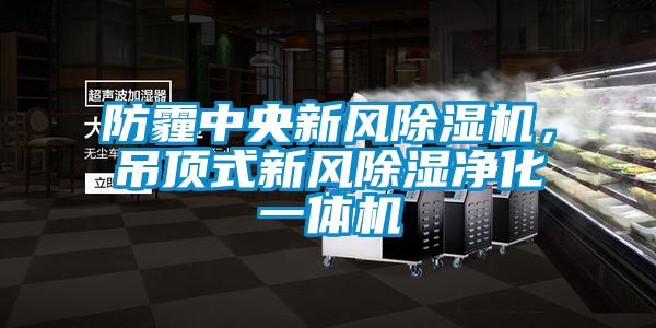 防霾中央新風(fēng)除濕機，吊頂式新風(fēng)除濕凈化一體機