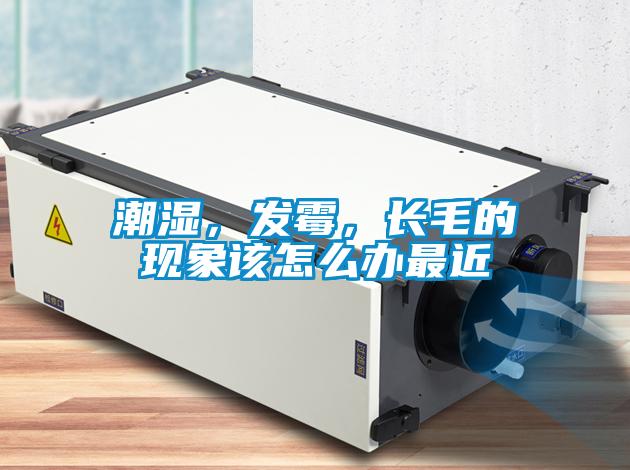 潮濕，發(fā)霉，長(cháng)毛的現象該怎么辦最近