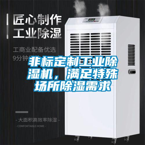 非標定制工業(yè)除濕機，滿(mǎn)足特殊場(chǎng)所除濕需求
