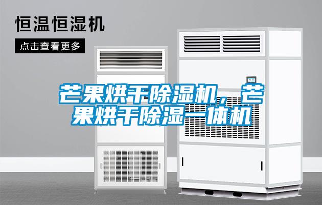 芒果烘干除濕機，芒果烘干除濕一體機