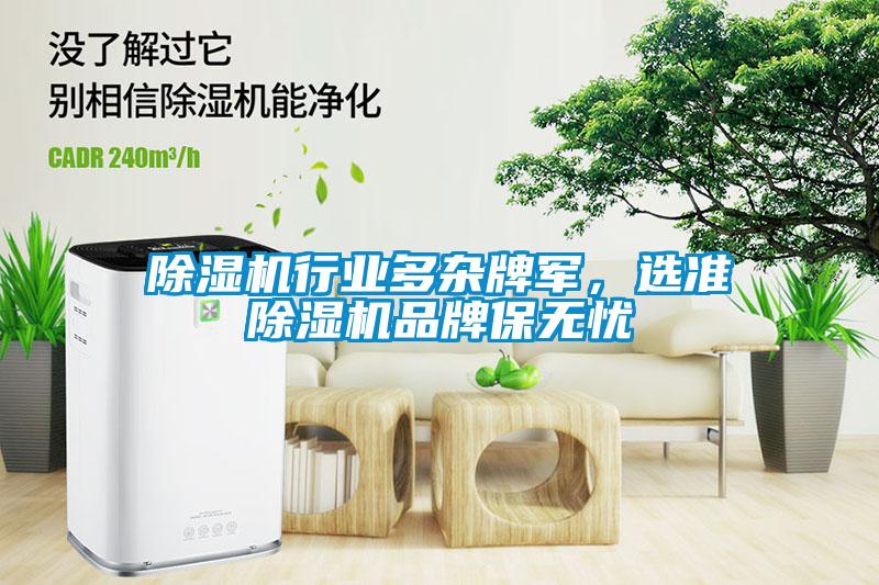 除濕機行業(yè)多雜牌軍，選準除濕機品牌保無(wú)憂(yōu)