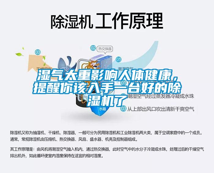 濕氣太重影響人體健康，提醒你該入手一臺好的除濕機了