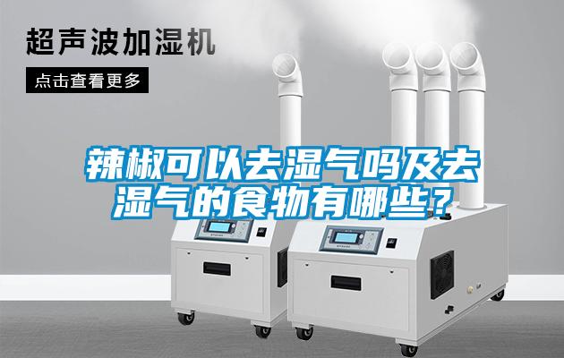 辣椒可以去濕氣嗎及去濕氣的食物有哪些？