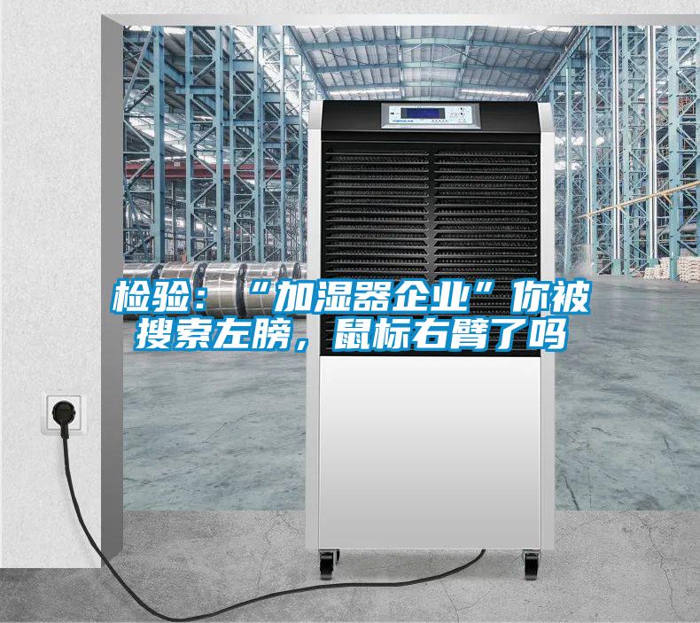 檢驗：“加濕器企業(yè)”你被搜索左膀，鼠標右臂了嗎