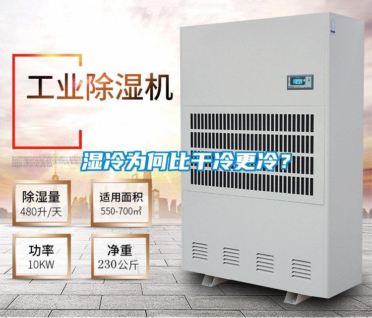 濕冷為何比干冷更冷？
