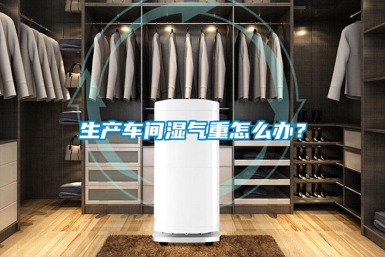 生產(chǎn)車(chē)間濕氣重怎么辦？