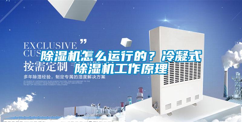 除濕機怎么運行的？冷凝式除濕機工作原理