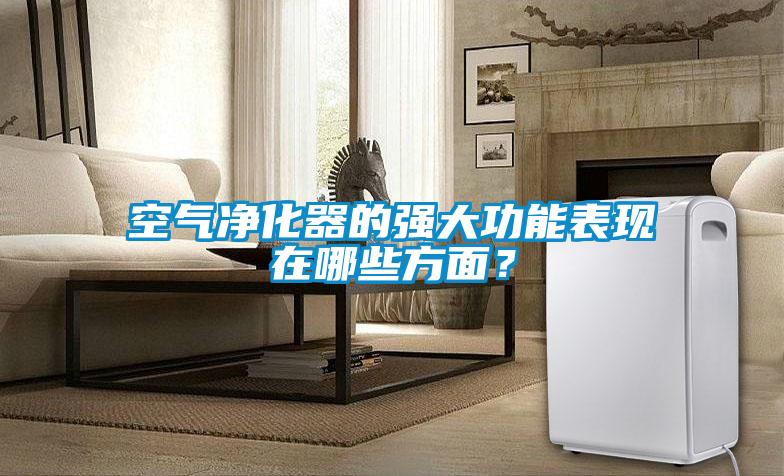 空氣凈化器的強大功能表現在哪些方面？