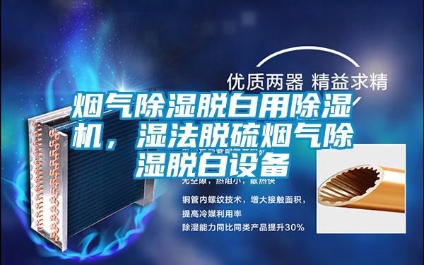 煙氣除濕脫白用除濕機，濕法脫硫煙氣除濕脫白設備