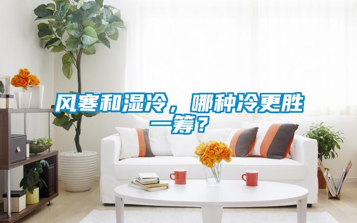 風(fēng)寒和濕冷，哪種冷更勝一籌？