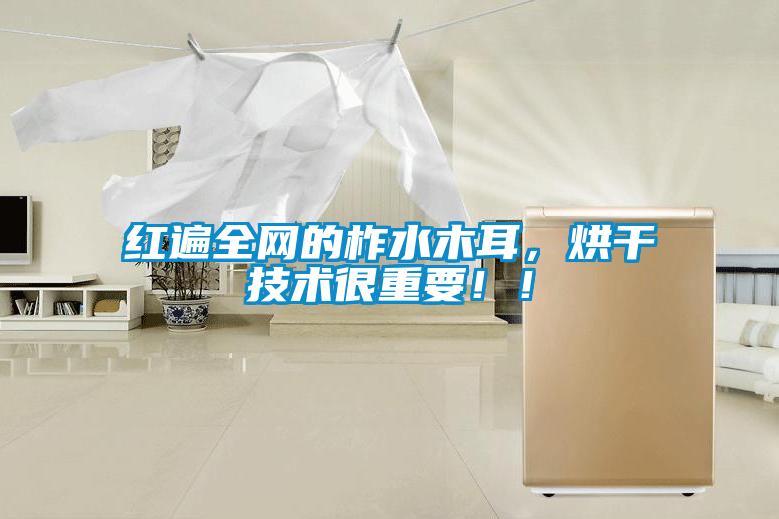 紅遍全網(wǎng)的柞水木耳，烘干技術(shù)很重要??！