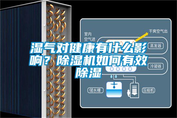 濕氣對健康有什么影響？除濕機如何有效除濕
