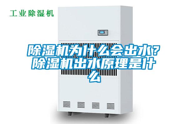 除濕機為什么會(huì )出水？除濕機出水原理是什么