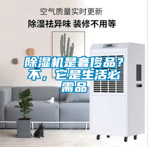 除濕機是奢侈品？不，它是生活必需品