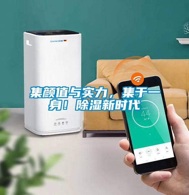 集顏值與實(shí)力，集于一身！除濕新時(shí)代