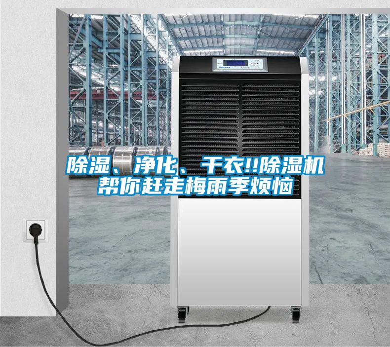 除濕、凈化、干衣!!除濕機幫你趕走梅雨季煩惱