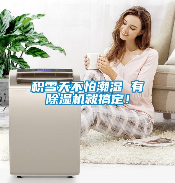 積雪天不怕潮濕 有除濕機就搞定！