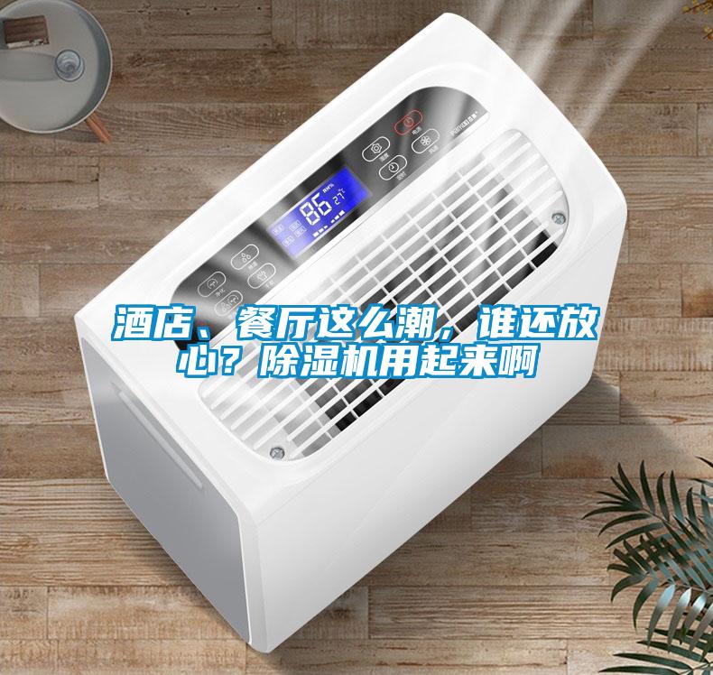 酒店、餐廳這么潮，誰(shuí)還放心？除濕機用起來(lái)啊