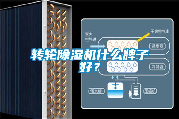 轉輪除濕機什么牌子好？
