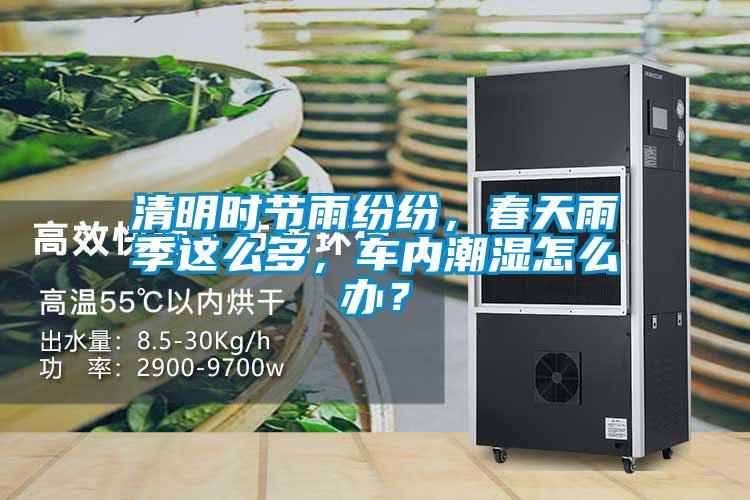 清明時(shí)節雨紛紛，春天雨季這么多，車(chē)內潮濕怎么辦？