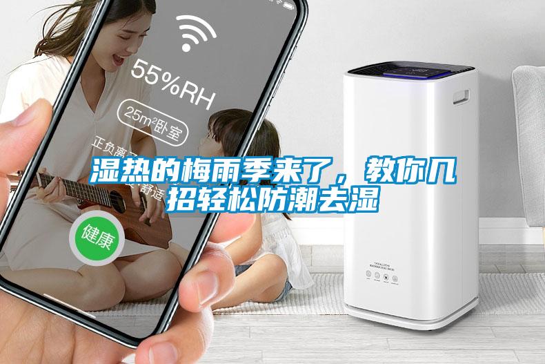 濕熱的梅雨季來(lái)了，教你幾招輕松防潮去濕