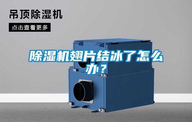 除濕機翅片結冰了怎么辦？