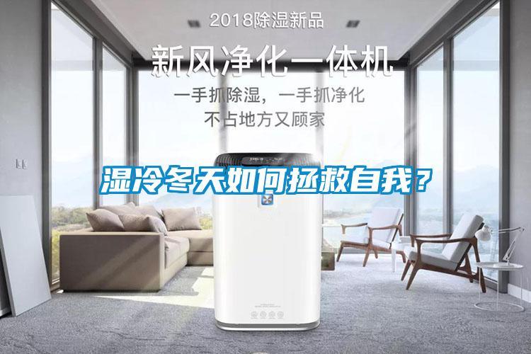 濕冷冬天如何拯救自我？