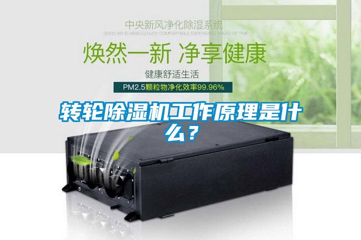轉輪除濕機工作原理是什么？