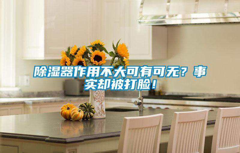 除濕器作用不大可有可無(wú)？事實(shí)卻被打臉！