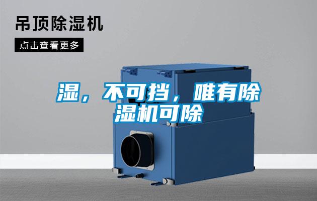 濕，不可擋，唯有除濕機可除