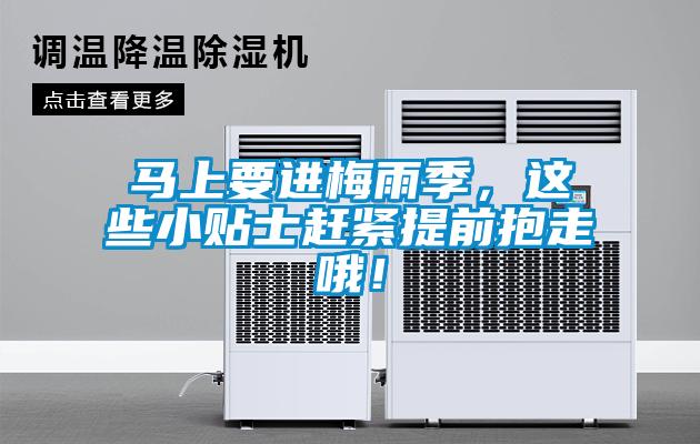 馬上要進(jìn)梅雨季，這些小貼士趕緊提前抱走哦！