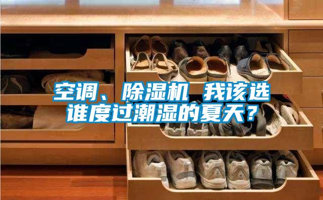 空調(diào)、除濕機(jī) 我該選誰度過潮濕的夏天?